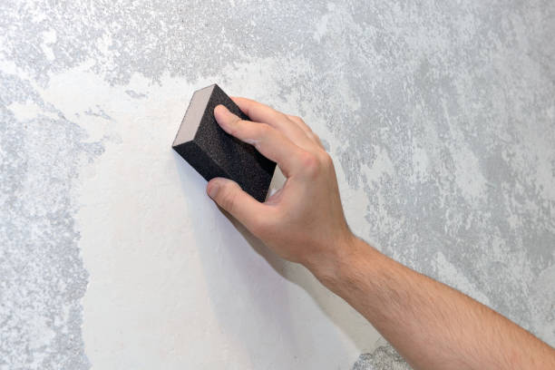 Professional Mold Removal in Greenwood, LA
